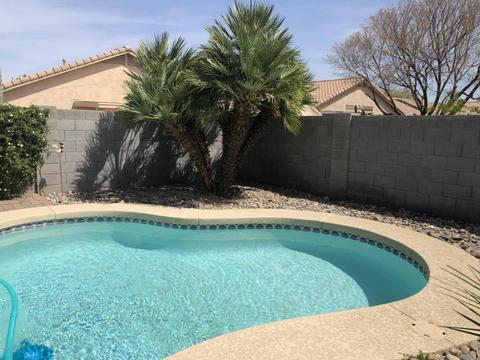 502 E Pinto Dr, Gilbert, AZ 85296 photo 56