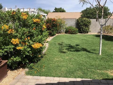 502 E Pinto Dr, Gilbert, AZ 85296 photo 5