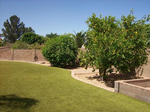 2333 E Nance Cir, Mesa, AZ 85213 photo 34