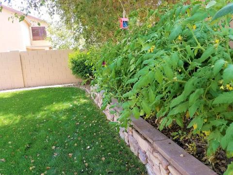 2729 S Southwind Dr, Gilbert, AZ 85295 photo 11