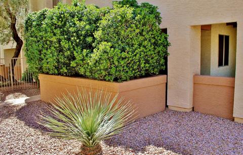 4150 E Cactus Rd #113, Phoenix, AZ 85032 photo 30
