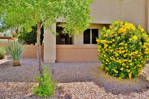 4150 E Cactus Rd #113, Phoenix, AZ 85032 photo 29