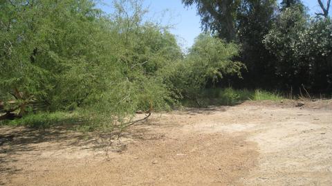 5627 S 27th Pl, Phoenix, AZ 85040 photo 7