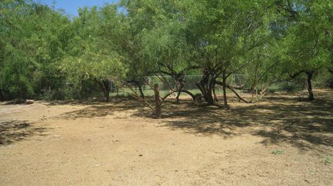 5627 S 27th Pl, Phoenix, AZ 85040 photo 8