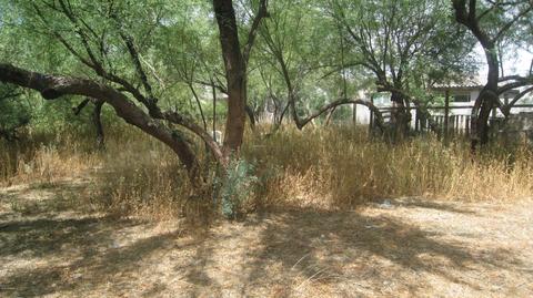 5627 S 27th Pl, Phoenix, AZ 85040 photo 71