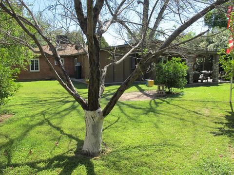 4248 E Lewis Ave, Phoenix, AZ 85008 photo 32
