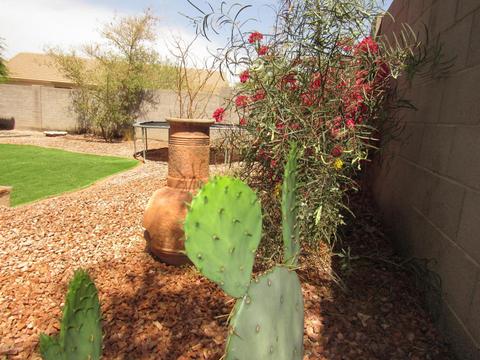 7407 S 16th Dr, Phoenix, AZ 85041 photo 63