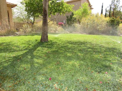 7407 S 16th Dr, Phoenix, AZ 85041 photo 75