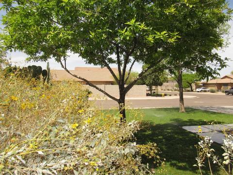 7407 S 16th Dr, Phoenix, AZ 85041 photo 72