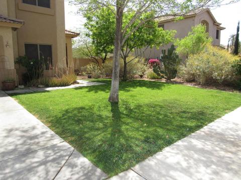 7407 S 16th Dr, Phoenix, AZ 85041 photo 3