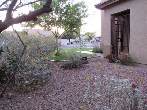 7407 S 16th Dr, Phoenix, AZ 85041 photo 45