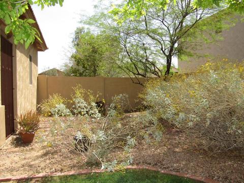 7407 S 16th Dr, Phoenix, AZ 85041 photo 57