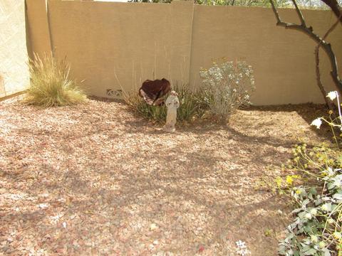 7407 S 16th Dr, Phoenix, AZ 85041 photo 74