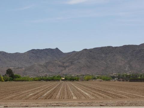 7407 S 16th Dr, Phoenix, AZ 85041 photo 86