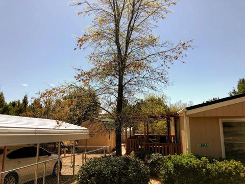 8170 W Apache Dr, Payson, AZ 85541 photo 12