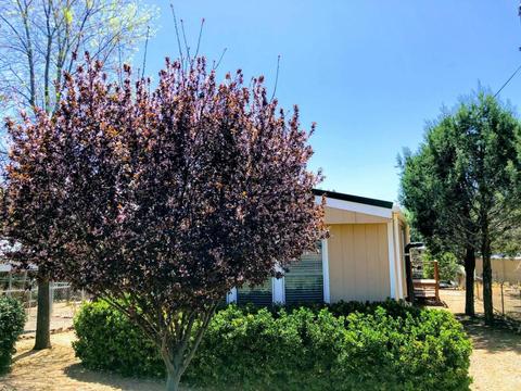 8170 W Apache Dr, Payson, AZ 85541 photo 20
