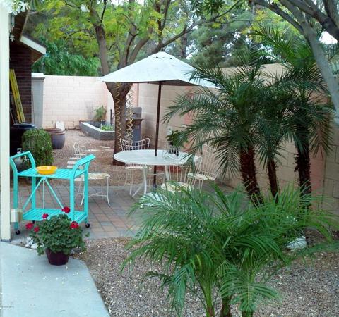 806 E Bruce Ave, Gilbert, AZ 85234 photo 9