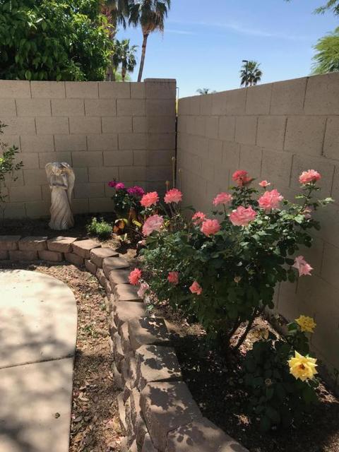 7203 E Lomita Ave, Mesa, AZ 85209 photo 16