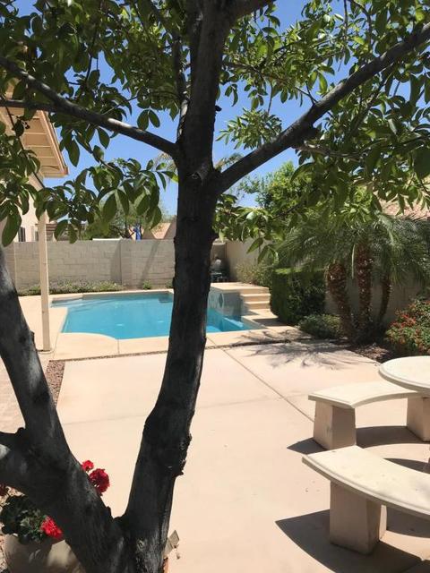 7203 E Lomita Ave, Mesa, AZ 85209 photo 17