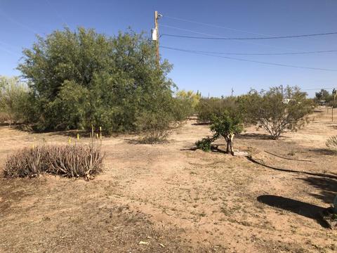 8465 N Diffin Rd, Florence, AZ 85132 photo 15