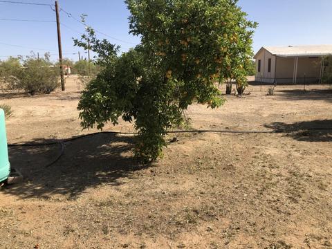 8465 N Diffin Rd, Florence, AZ 85132 photo 16