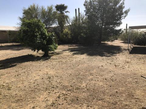 8465 N Diffin Rd, Florence, AZ 85132 photo 17