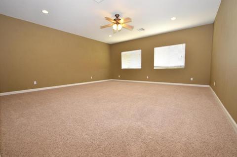 10734 E Lobo Ave, Mesa, AZ 85209 photo 16