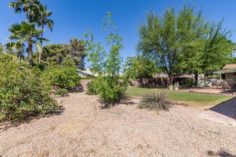15822 N 3rd St, Phoenix, AZ 85022 photo 5