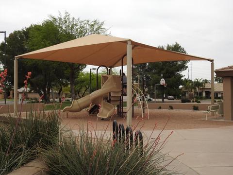 3713 E Olive Ave, Gilbert, AZ 85234 photo 47