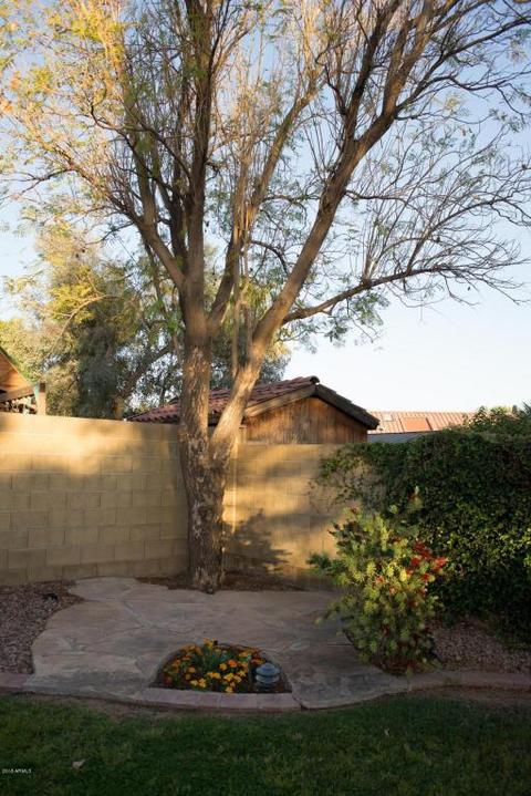 2703 Enrose St, Mesa, AZ 85213 photo 29