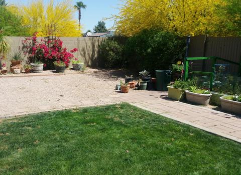 3230 E Yucca St, Phoenix, AZ 85028 photo 7