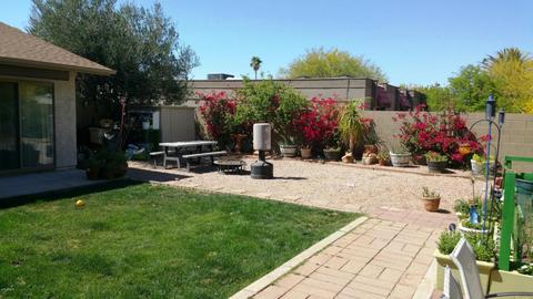 3230 E Yucca St, Phoenix, AZ 85028 photo 6