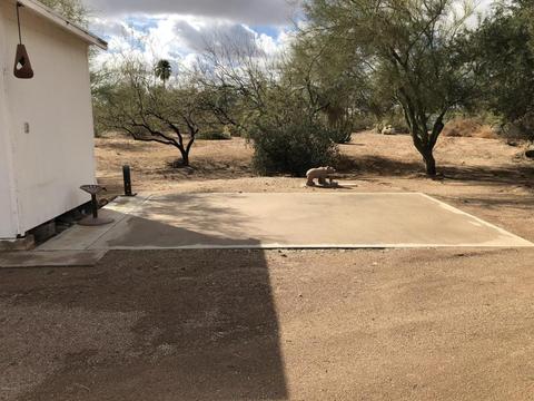 1365 N Wickiup Rd, Apache Junction, AZ 85119 photo 37