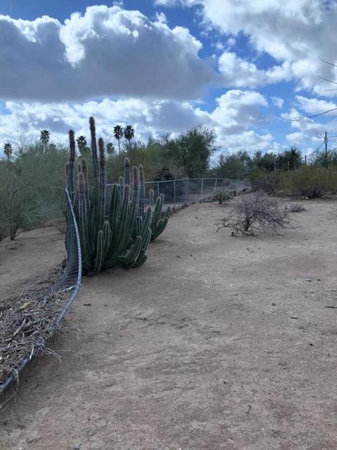 1365 N Wickiup Rd, Apache Junction, AZ 85119 photo 39