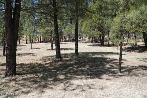 346 S Morris Mdws, Payson, AZ 85541 photo 78