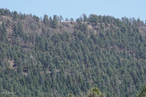 346 S Morris Mdws, Payson, AZ 85541 photo 71