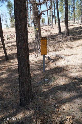 346 S Morris Mdws, Payson, AZ 85541 photo 62