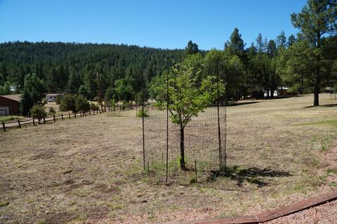 346 S Morris Mdws, Payson, AZ 85541 photo 67