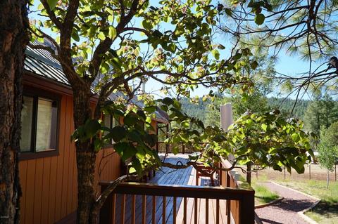 346 S Morris Mdws, Payson, AZ 85541 photo 55