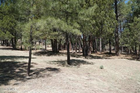 346 S Morris Mdws, Payson, AZ 85541 photo 77