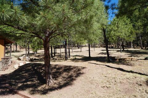 346 S Morris Mdws, Payson, AZ 85541 photo 82