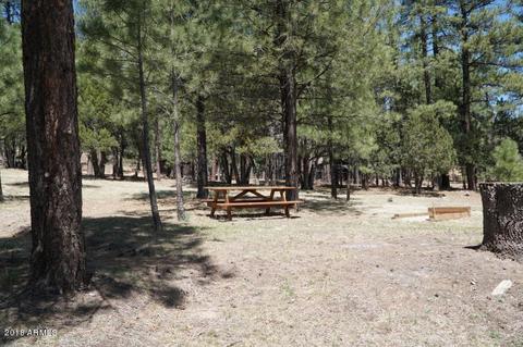 346 S Morris Mdws, Payson, AZ 85541 photo 80