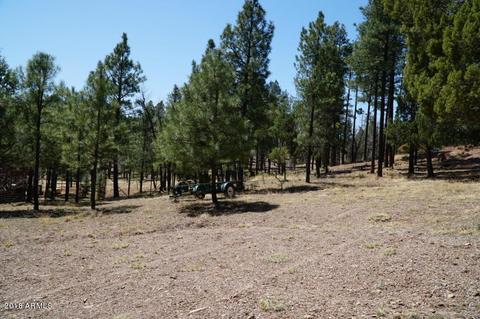 346 S Morris Mdws, Payson, AZ 85541 photo 76