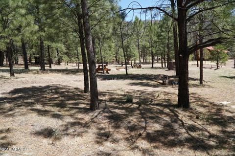 346 S Morris Mdws, Payson, AZ 85541 photo 73
