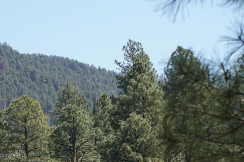 346 S Morris Mdws, Payson, AZ 85541 photo 69
