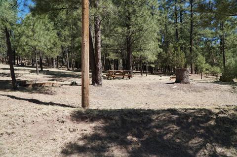 346 S Morris Mdws, Payson, AZ 85541 photo 81