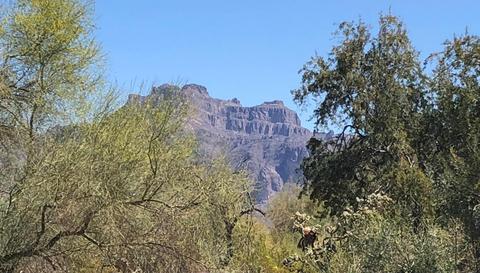 121 S Tomahawk Rd, Apache Junction, AZ 85119 photo 3