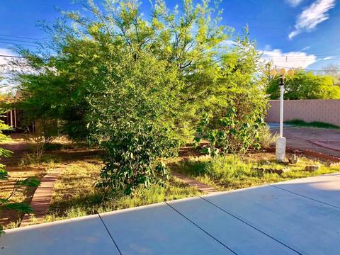 3325 E Pierce St, Phoenix, AZ 85008 photo 33