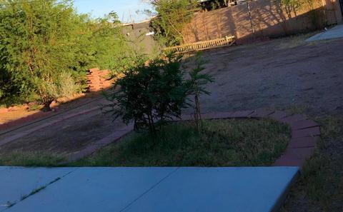 3325 E Pierce St, Phoenix, AZ 85008 photo 36