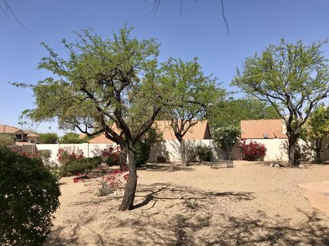 4120 E Cascalote Dr, Cave Creek, AZ 85331 photo 29